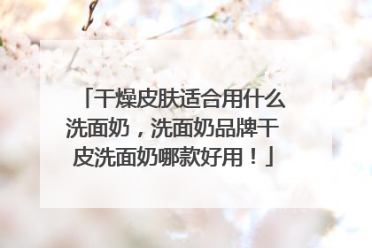干燥皮肤适合用什么洗面奶，洗面奶品牌干皮洗面奶哪款好用！